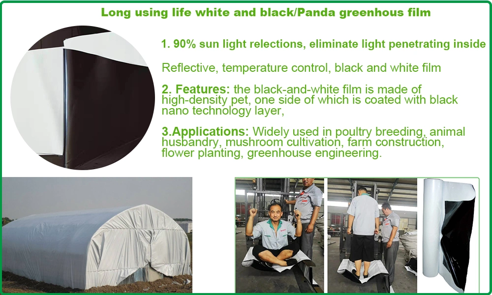 LDPE Silage Plastic Blackout Agricultural Film Black and White Silage Sheet Bunker Cover Greenhouse Panda Film Poly Silo Tarp