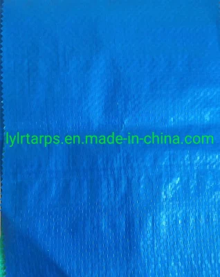 8 by 8 Mesh, Light-Duty Blue PE Tarp Cover, Polythylene Tarp